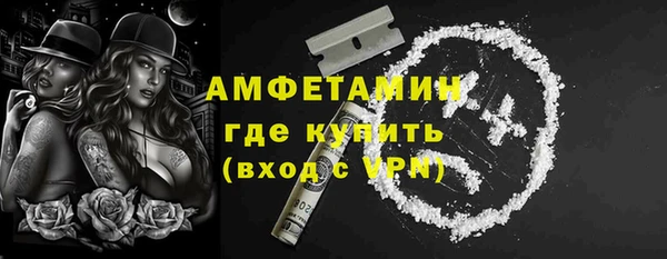 трава Коряжма