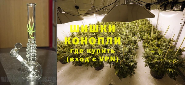 трава Коряжма