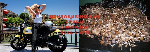 трава Коряжма