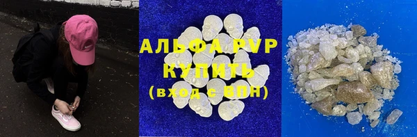 трава Коряжма