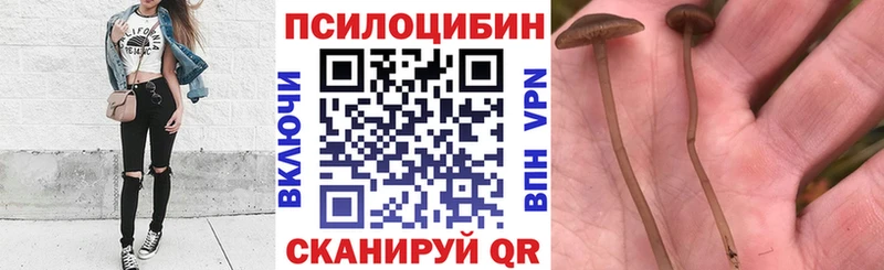 закладки  Юрюзань  Галлюциногенные грибы GOLDEN TEACHER 